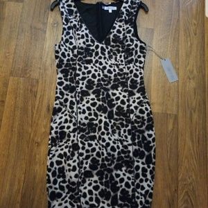 NWT JLO Dress